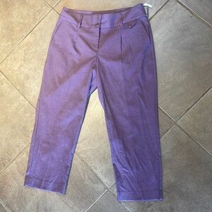 NEW Liz Claiborne Trousers! 10P